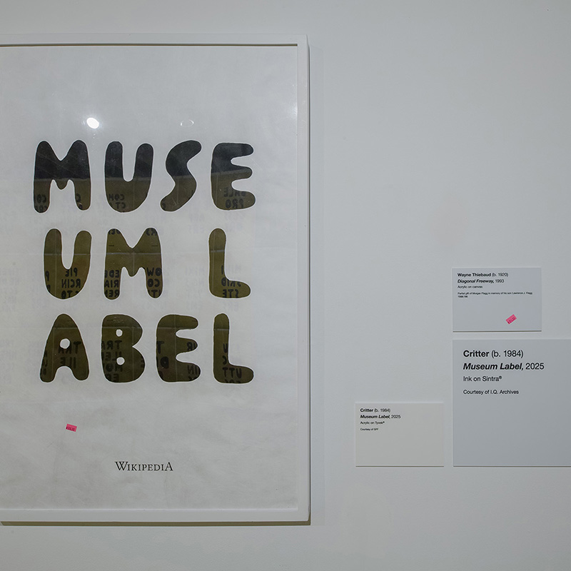 installation view 8